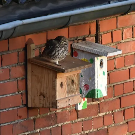 Kreativhof Lehmberg *
