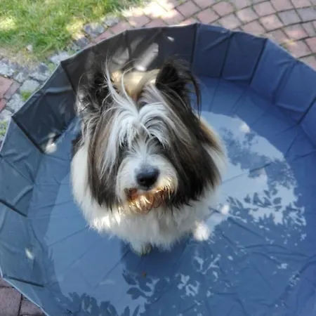 Kreativhof Lehmberg Appartement *