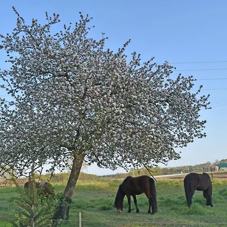 Kreativhof Lehmberg Apartamento *
