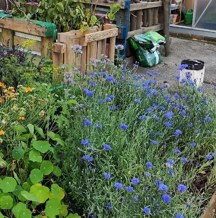 Kreativhof Lehmberg Appartement *