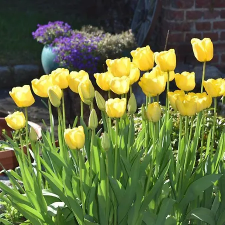 Appartement Kreativhof Lehmberg Hamminkeln