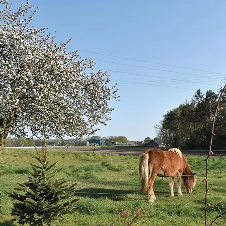 Appartement Kreativhof Lehmberg *