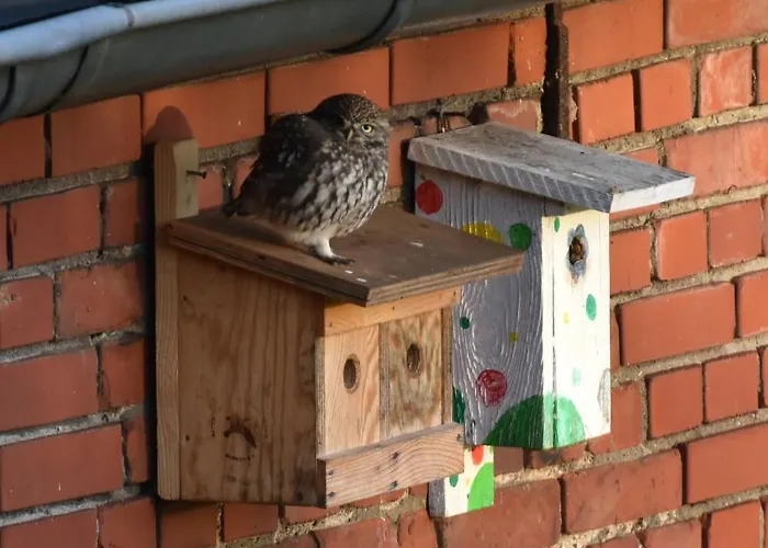 Kreativhof Lehmberg *