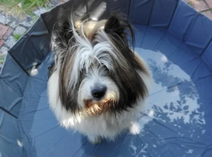 Kreativhof Lehmberg Apartamento *