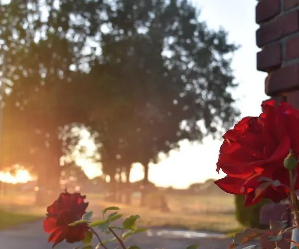 Kreativhof Lehmberg * Hamminkeln