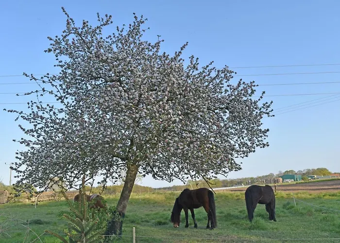 Kreativhof Lehmberg Apartamento *