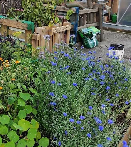 Kreativhof Lehmberg Apartamento *