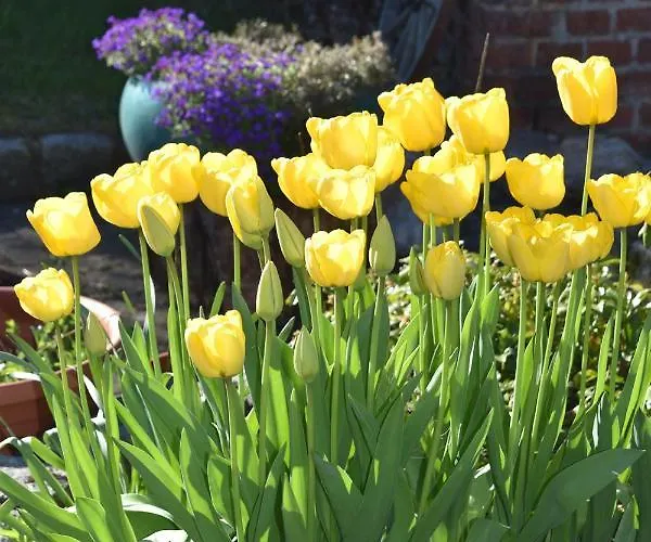 Apartamento Kreativhof Lehmberg Hamminkeln