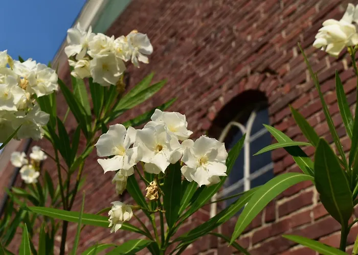 Kreativhof Lehmberg Хамминкельн