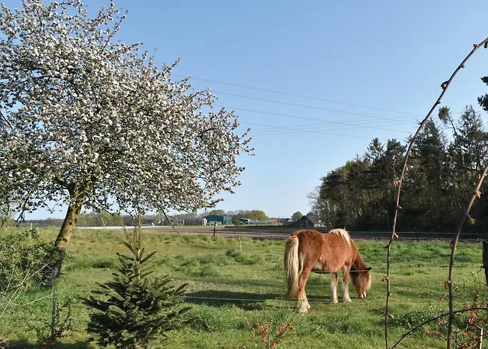 Апартаменты Kreativhof Lehmberg *