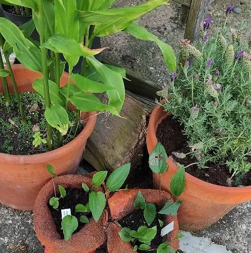 Kreativhof Lehmberg Apartamento